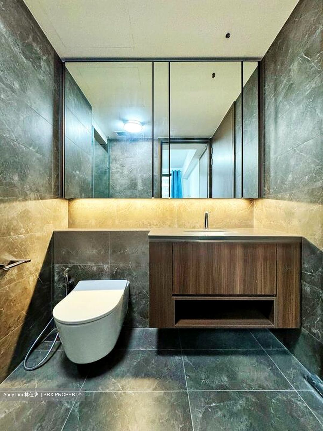 Kopar At Newton (D9), Apartment #458773651